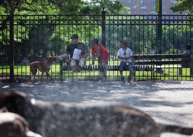 Wicker Park dog park